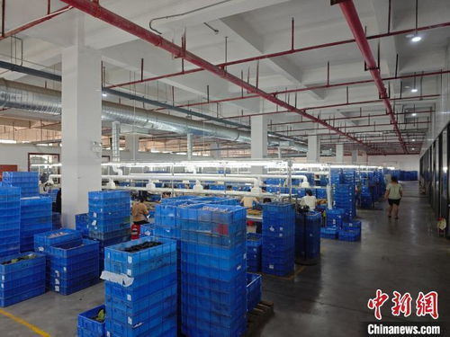 港資企業在贛扎根，與江西發展同頻共振，一路繁花技術開發